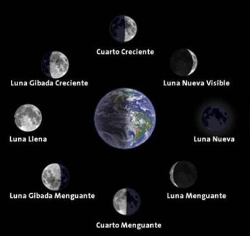 fases-de-la-luna-2
